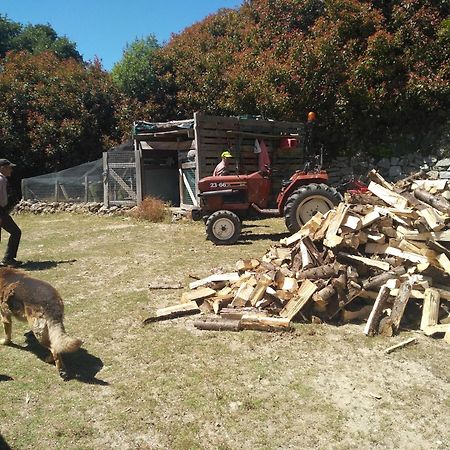 Chale Pouso Da Serra - Casas De Montanha Costilhao Eksteriør billede