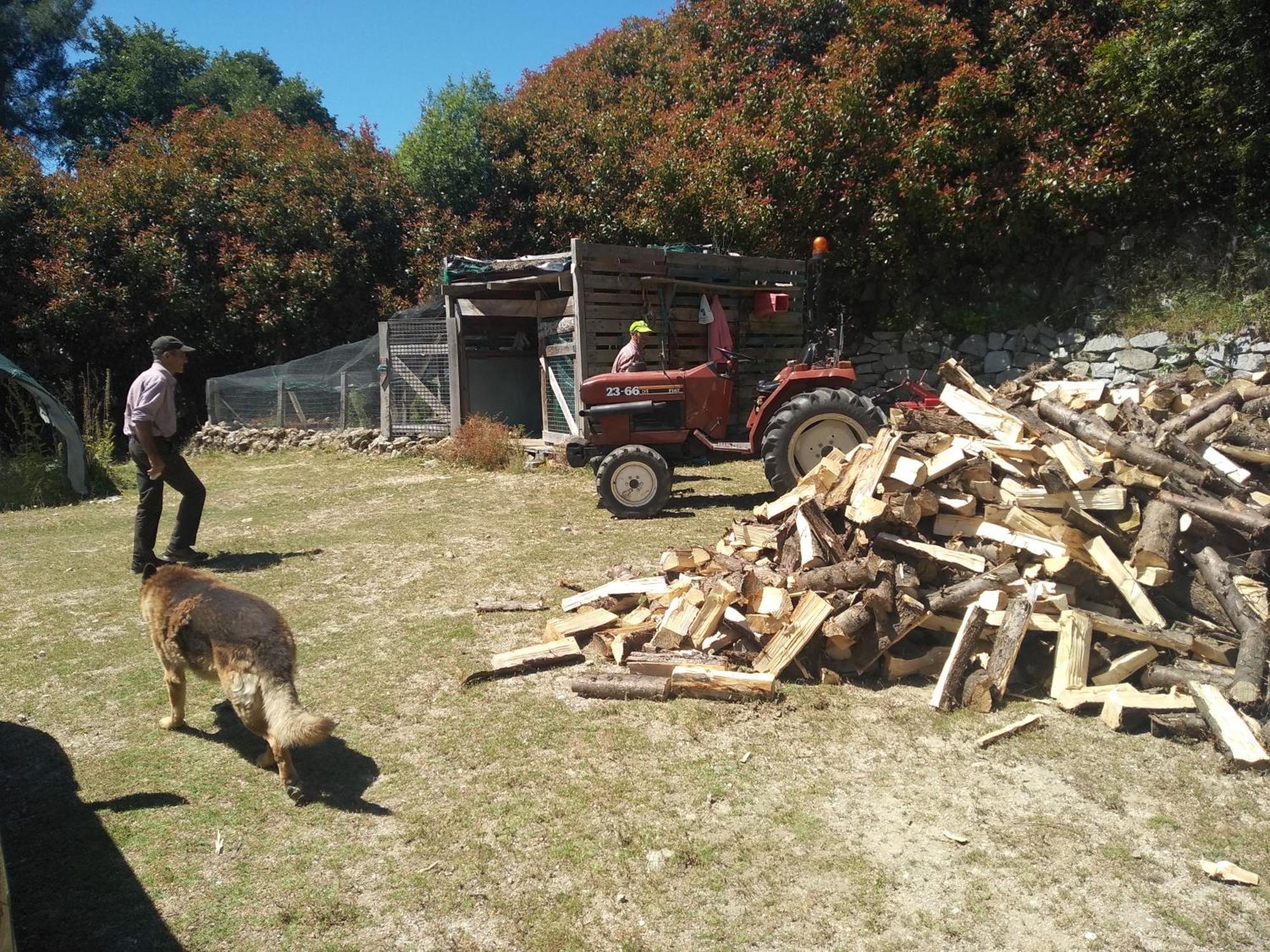 Chale Pouso Da Serra - Casas De Montanha Costilhao Eksteriør billede