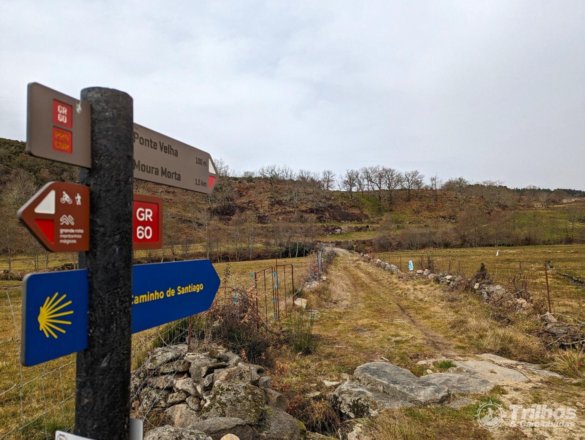 Chale Pouso Da Serra - Casas De Montanha Costilhao Eksteriør billede